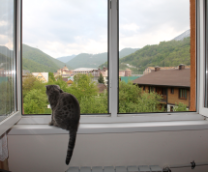 ��������� �������