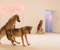 ����� ���������