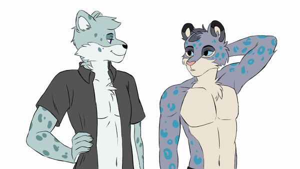 Gay Furry Feline Gay Furry Feline