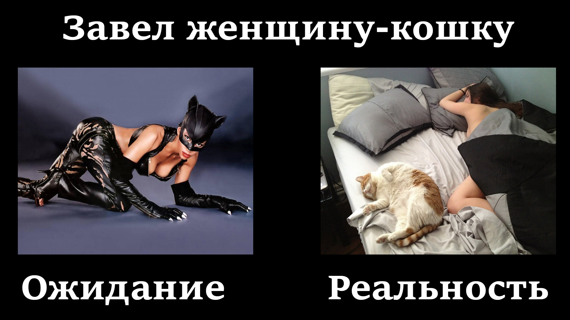 я хочу котенка фанфик фото 65